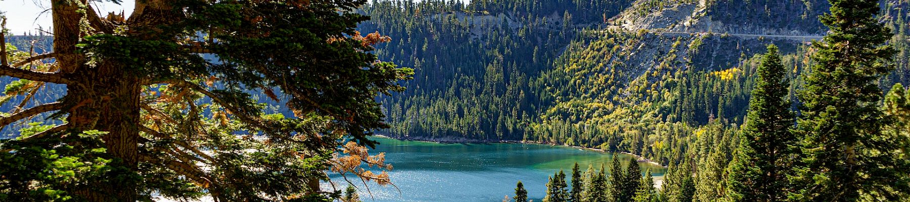 A serene lake is surrounded by dense forest and hilly terrain under a clear blue sky, offering a beautiful and tranquil natural landscape.