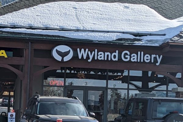 The image shows the exterior of Wyland Gallery in a snowy mountain area, with two parked SUVs in front of the gallery entrance and mountains in the background.